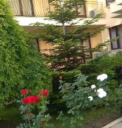 Near Cacao Beach